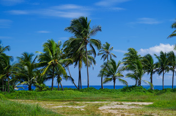 Fototapeta na wymiar San Andres Island Colombia 