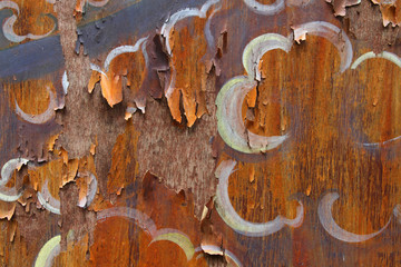 The ancient patterned old wood decay