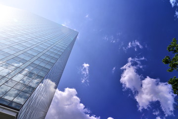 office building under the blue sky