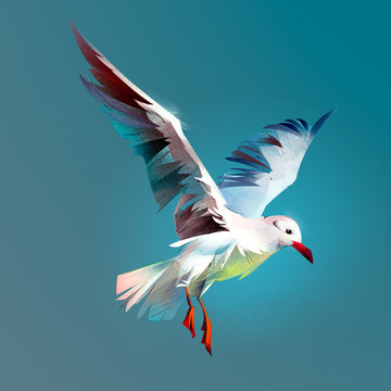 Drawn flying bird Seagull. Sketch of stylized flying birds on a color background