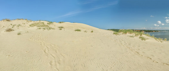 Desert  in Nida panorama