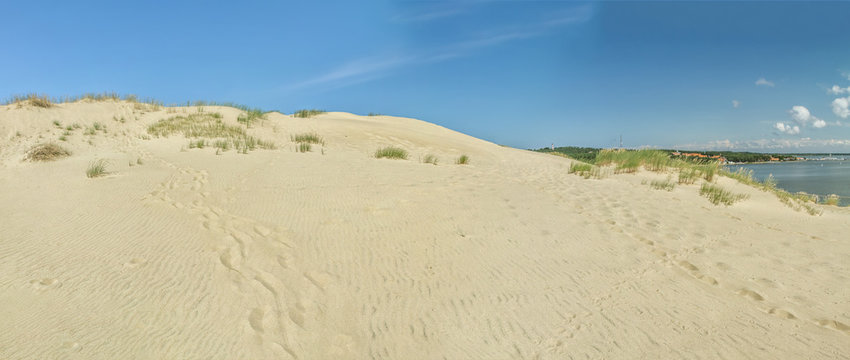 Desert  in Nida panorama