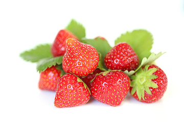 strawberries with leaves . strawberry harvest