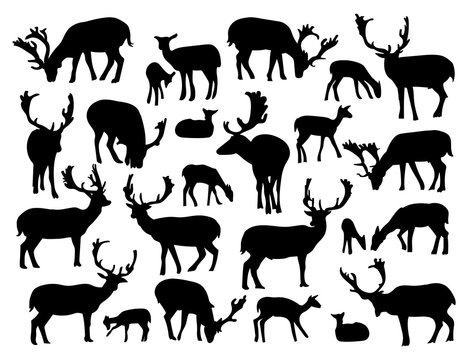 Noble deer silhouettes set isolated on white background. Vector illustration for your wildlife design