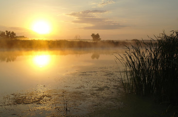 Landscape with river at early morning time