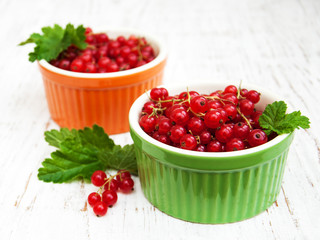 fresh red currant