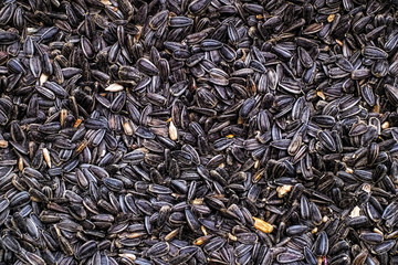 Sunflower seeds