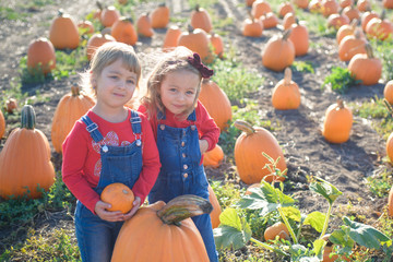 Fototapeta premium Happy girls standing near big pumpkin at farm field patch