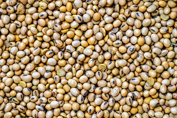 Chickpeas texture