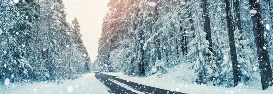winter panorama on the road through coniferous forest