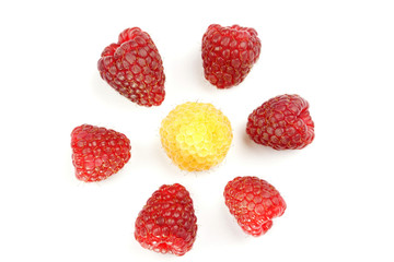 Raspberries in macro on the white background