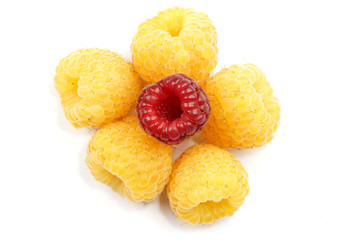 Raspberries in macro on the white background