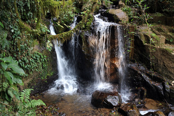 Cachoeira - São Francisco Xavier