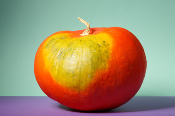 orange big round pumpkin on a colored background