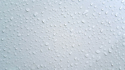 Water drops on gray background