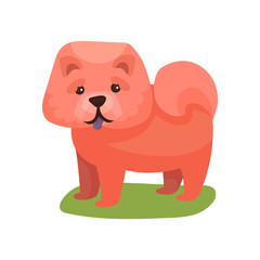 Chow chow dog, purebred pet animal standing on green grass colorful vector Illustration