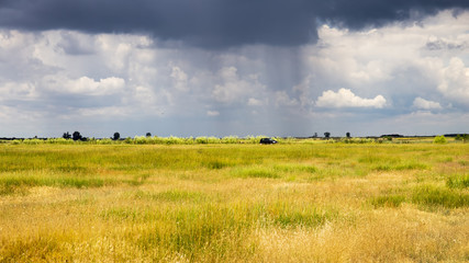 Fototapeta premium Stormy cloudy sky over the plain,Banat region in Serbia