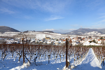 Fototapeta premium Winter in der Südpfalz