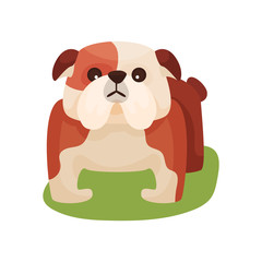 French bulldog dog, purebred pet animal standing on green grass colorful vector Illustration