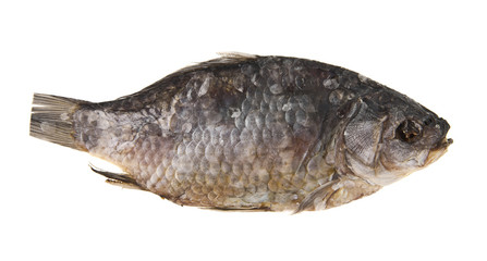 Canned crucian isolated on white background