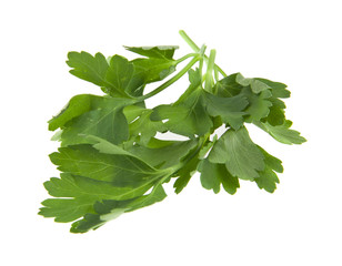 Parsley isolated on white background closeup