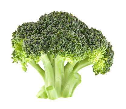 Fresh broccoli isolated on white background closeup