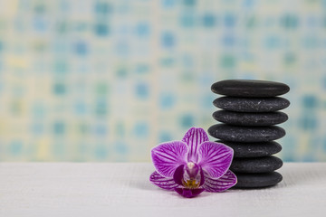  Spa stones and orchid close-up.