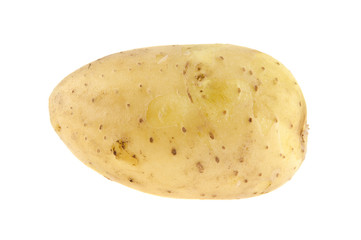 Potato isolated on white background closeup