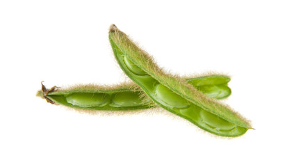 Soybean isolated on white background