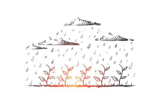 Seedling concept. Hand drawn young plant watered by rain. Seedling growth isolated vector illustration.