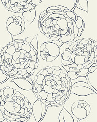 Peonies in black and white