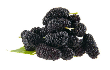 Mulberry isolated on white background