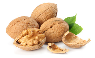 Green walnuts with leaves isolated on a white background