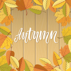 Autumn lettering on wooden background and falling leaves.