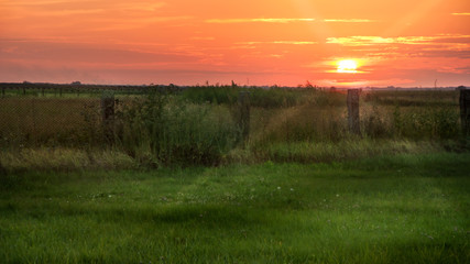 Fototapeta na wymiar Landscape, beautiful sunny sunset in a field