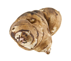 Jerusalem artichoke isolated on white background closeup