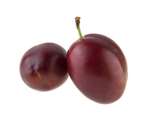 juicy plums isolated on white background closeup