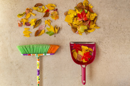 Cleaning dry autumn leaves from a concrete floor with a colorful broom and shovel