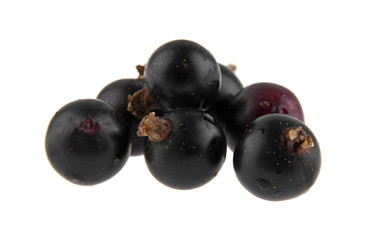 black currant isolated on white background closeup