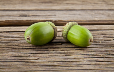 acorns on a wooden background closeup