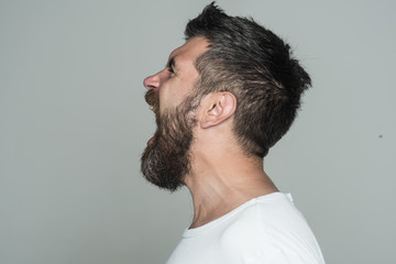 Obraz premium Guy or bearded man on grey background.