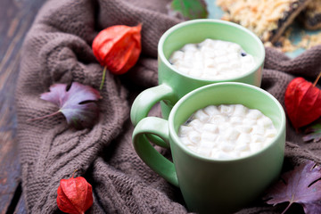 Obraz na płótnie Canvas Two cup of coffee or hot chocolate with marshmallow near knitted blanket and pie. Autumn concept. Christmas.