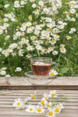 Herbal tea with chamomile on a wooden table on a summer sunny morning