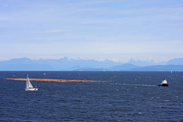 tug towing lumbar off Vancouver Island