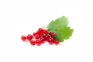 Red currant berry isolated on white. A bunch of red currant..