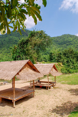 hut in green forest