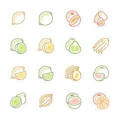 Citrus fruits icons - Lemon, orange and pomelo