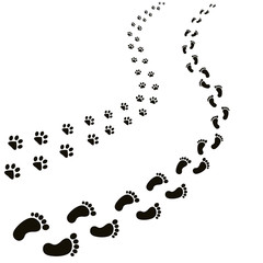 animal and human footprints isolated in white