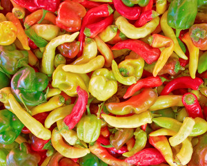 colorful peppers top view, natural background