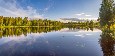 Calm lake view and a beautiful forest in Lapland,Finland.